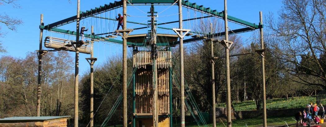 Family High Rope Activity