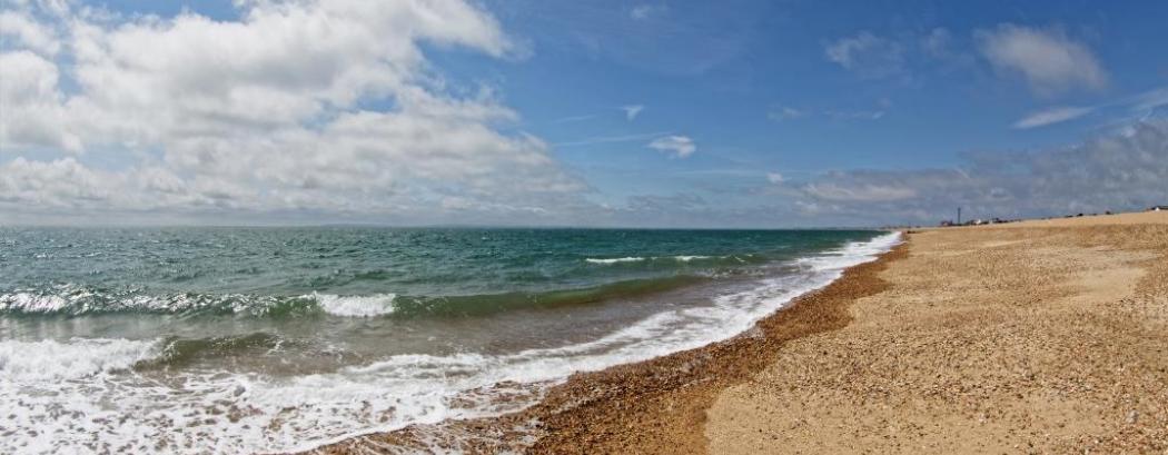 Mill Rythe Beach activities