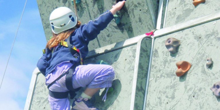 Climbing Wall Activity