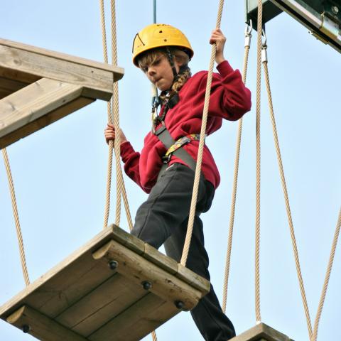 High ropes Condover Hall