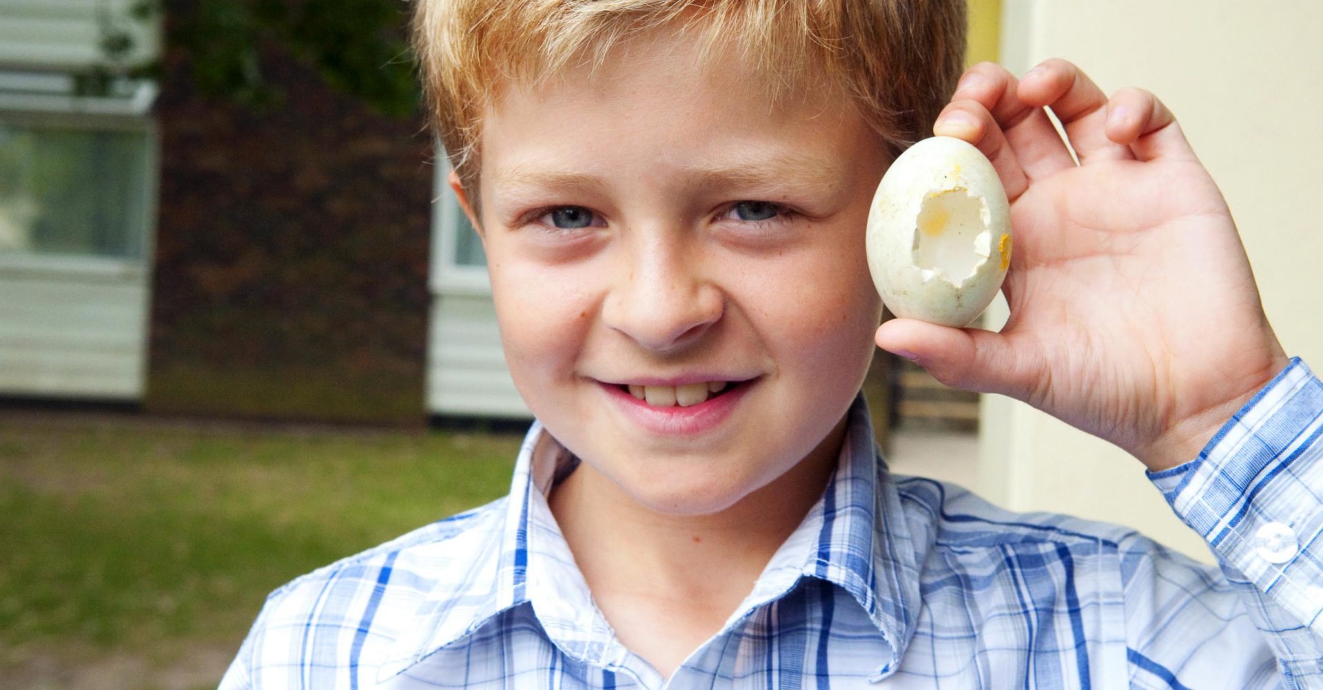 Egg Protector Activity