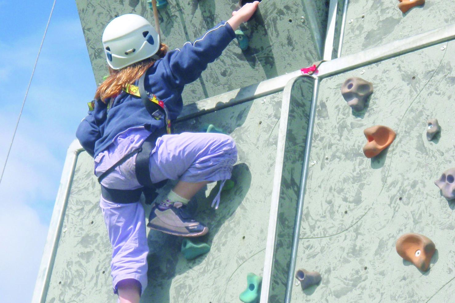 Climbing Wall Activity